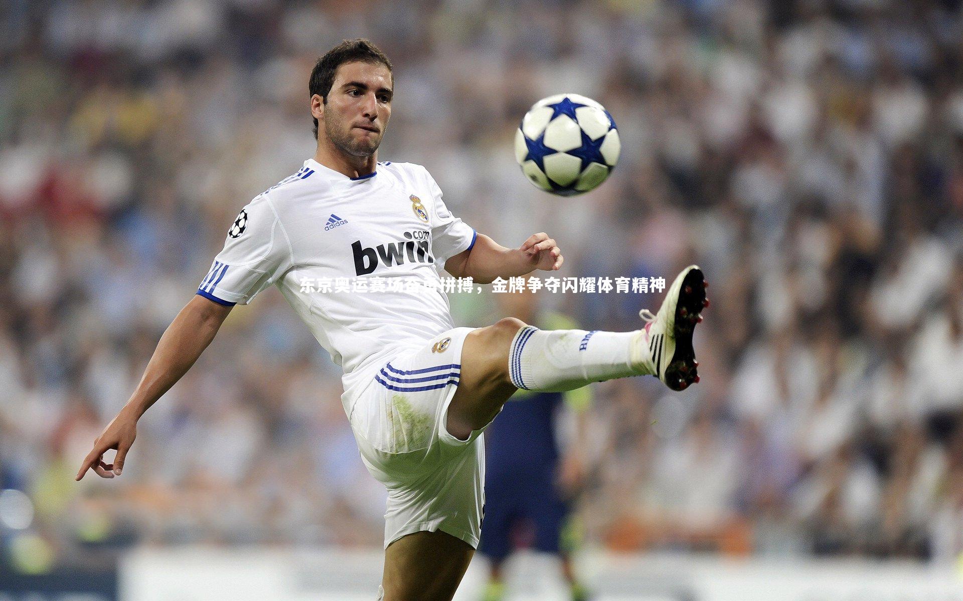 东京奥运赛场奋勇拼搏，金牌争夺闪耀体育精神