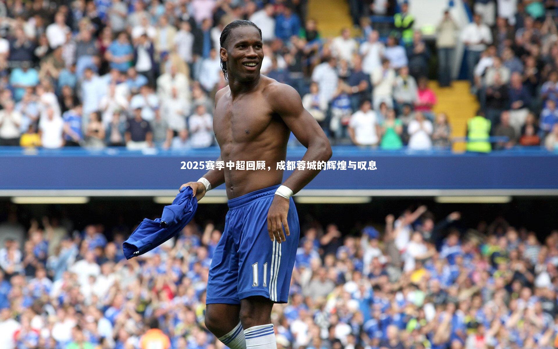 2025赛季中超回顾，成都蓉城的辉煌与叹息